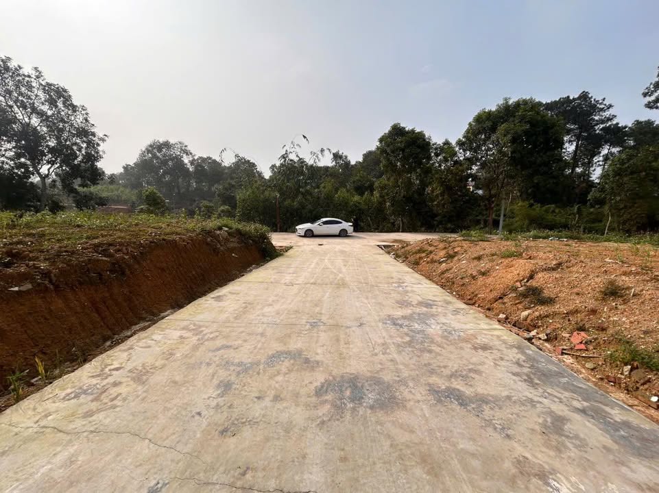 Đất nền Phường Âu Cơ 100m² giá 7 tỷ - Sổ đỏ chính chủ!