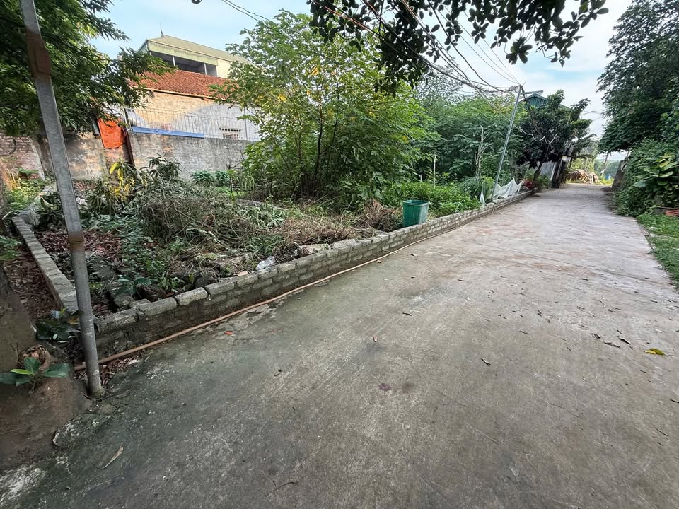 Đất nền Thạch Thất 60m² giá 1.9 tỷ - Lô góc 2 mặt tiền cực đẹp!