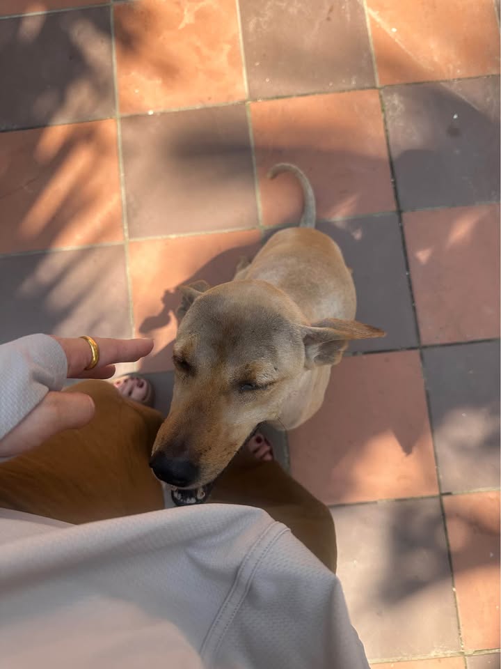 Đất nền KĐT Tân Vĩnh 9D Đông Hà - Từ 120m² - Tiềm năng tăng giá