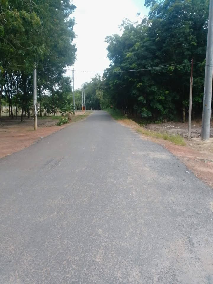 Bán Đất Vườn 20.000m² Mặt Tiền 93m Đường Minh Châu, Tây Ninh - Giá 6.5 Tỷ