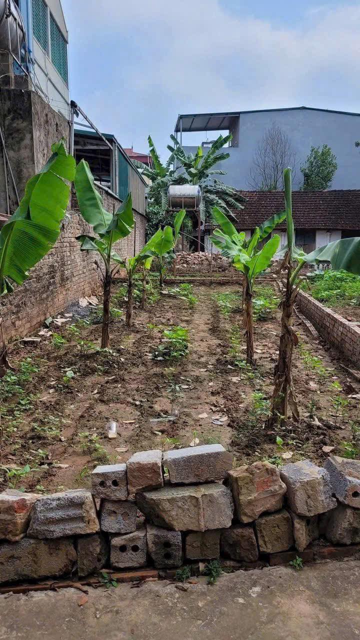 Nhà Vạn Phúc Thanh Trì 40m² Sổ Đỏ Vuông Vắn - Ngõ Ô Tô 7 Chỗ