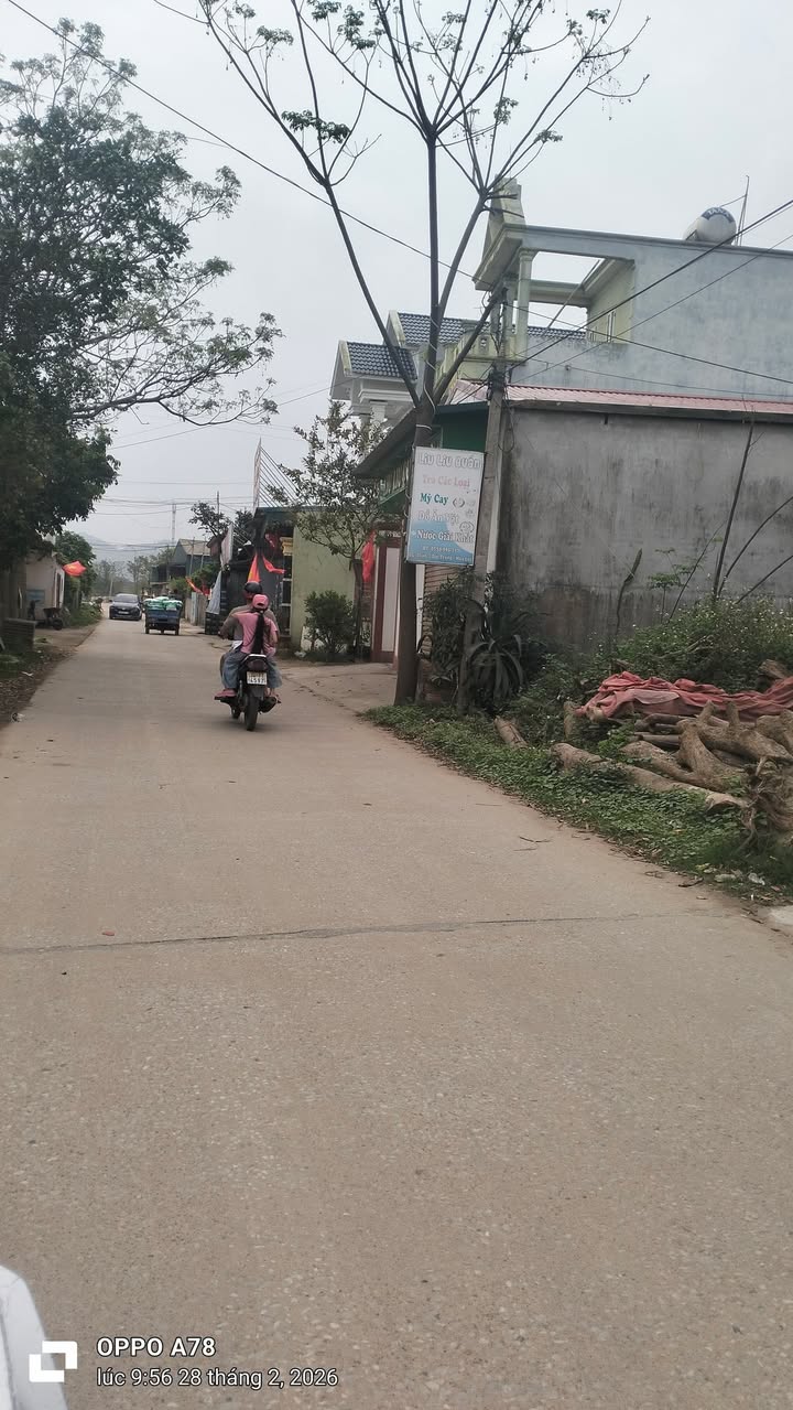 Bán Đất Hậu Lộc, Thanh Hóa 118m² - Gần Đường Duyên Hải, Giá 1 Tỷ