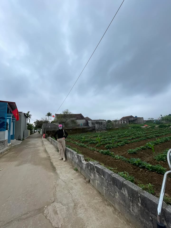 Đất nền 2 mặt tiền 230m² tại Hậu Lộc, Thanh Hóa - Giá 1 tỷ xtr