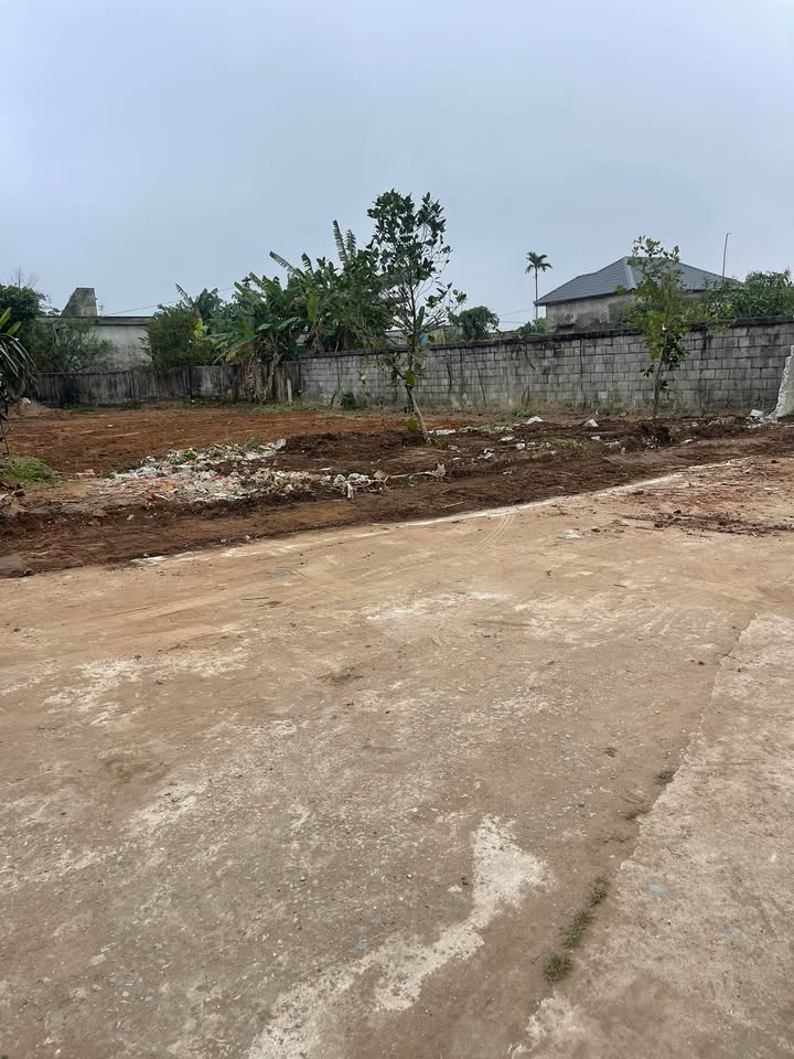 Đất nền Thái Thụy, Thái Bình 146m² - Sổ đỏ sẵn sàng giao dịch