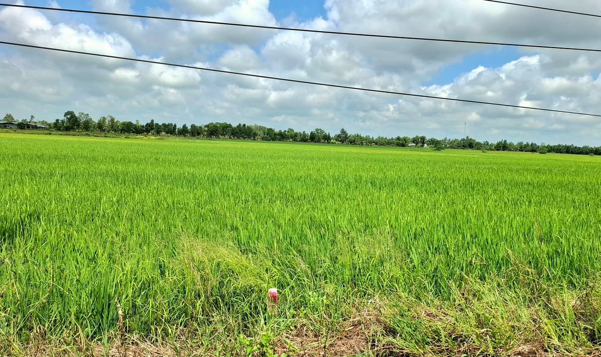 Đất nền Hoả Lựu Vị Thanh 300m² chỉ 135 triệu - Giá tốt hiếm có!