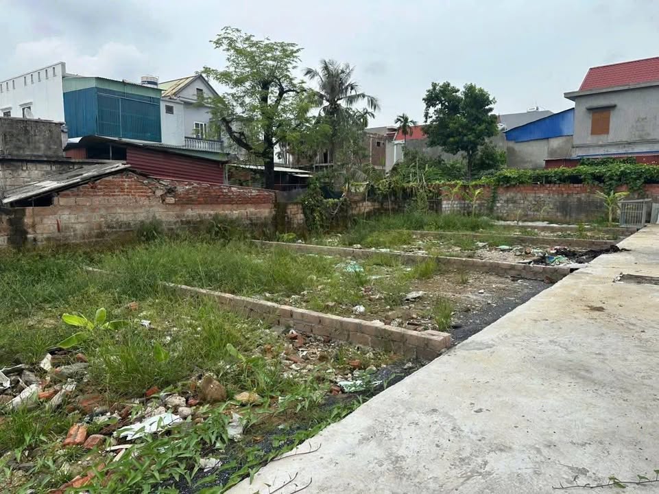 Đất nền Hoa Động Thủy Nguyên 45m² - Đường to ô tô, tiềm năng sinh lời!