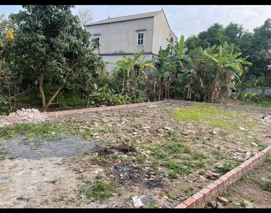 Đất nền Thanh Oai 170m² giá 5 tỷ - Tiềm năng tăng giá vượt trội!