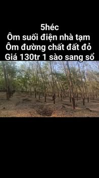 Farm Cao Su 5ha Đất Đỏ Huyện Dầu Tiếng, Bình Dương - Sẵn Sàng Khai Thác