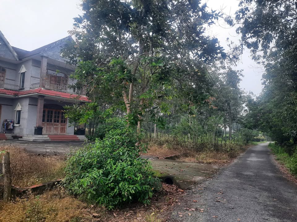 Bán gấp đất 5500m² mặt tiền DT744, Bình Dương - Giá tốt