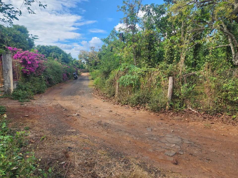 Đất nền Buôn Ma Thuột 675m² - Vị trí đắc địa, 2 mặt tiền!