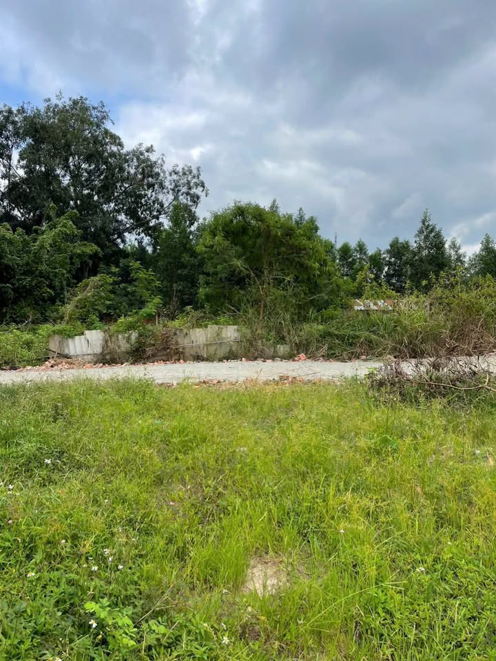 Đất Nền Sổ Hồng Riêng 155m² Tại Xuân Lộc, Đồng Nai - Giá Tốt 550 Triệu