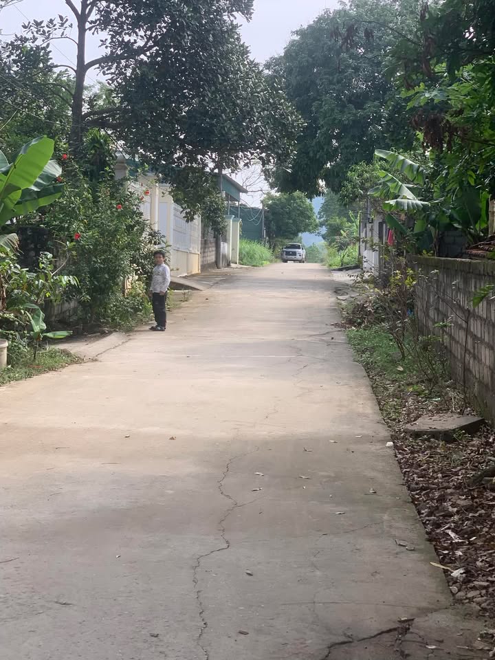 Đất nền Tam Điệp 140m² giá chỉ 8xx triệu - Đường to ô tô!