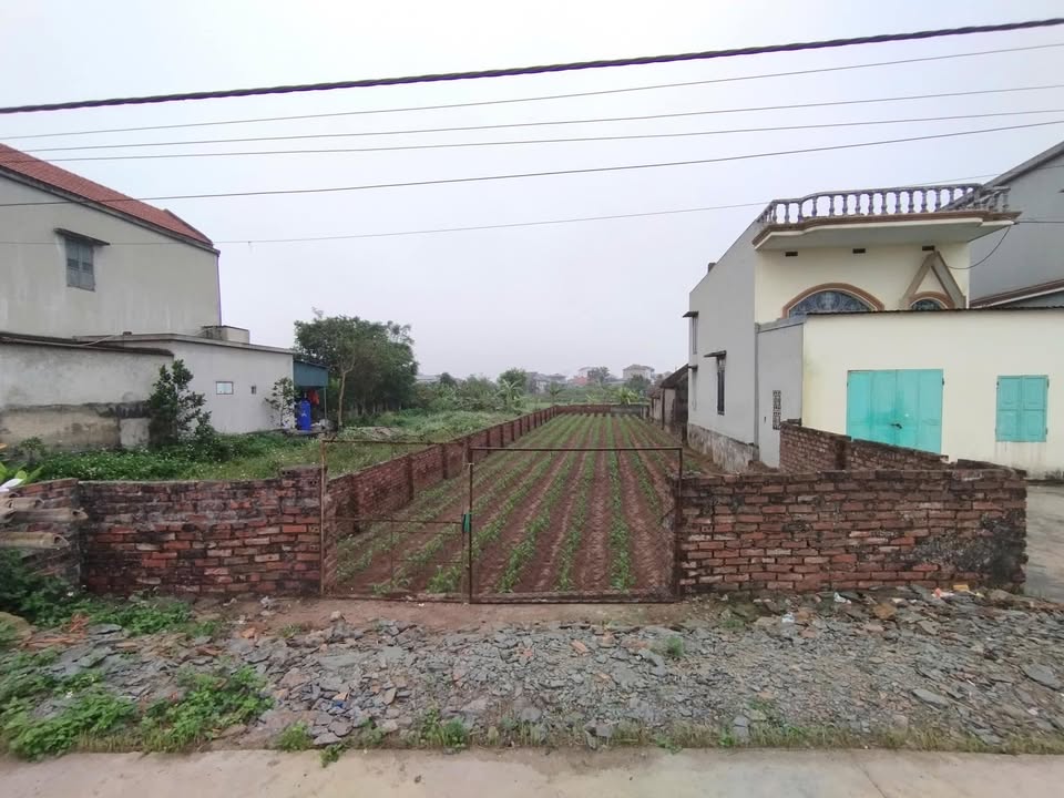 Đất nền Khánh Nhạc 200m² giá 1 tỷ - Sổ đỏ chính chủ!