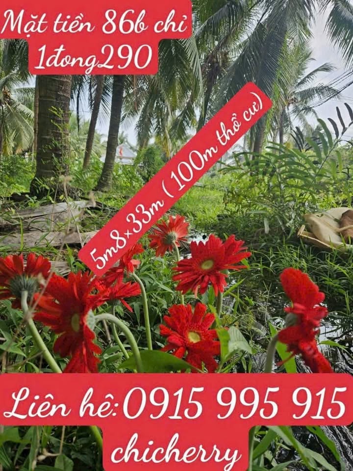 Đất nền Tân Mỹ Chánh 198m² - Tiềm năng tăng giá vượt trội!