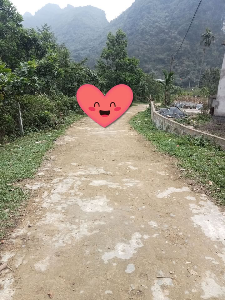 Đất nền Hòa Bình 4000m² - Sổ đỏ chính chủ, bám mặt đường 50m