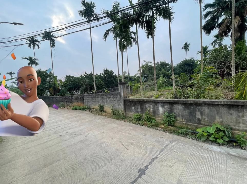 Đất nền Yên Mông, Hòa Bình 250m² - Mặt tiền rộng, view đồng thoáng đãng