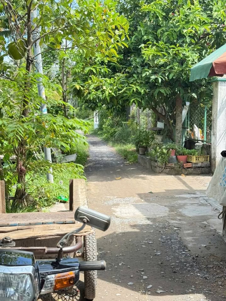 Bán Nền 150m² Sổ Hồng Đất CLN Đường Nguyễn Văn Cừ, Cần Thơ - Giá 1 Tỷ