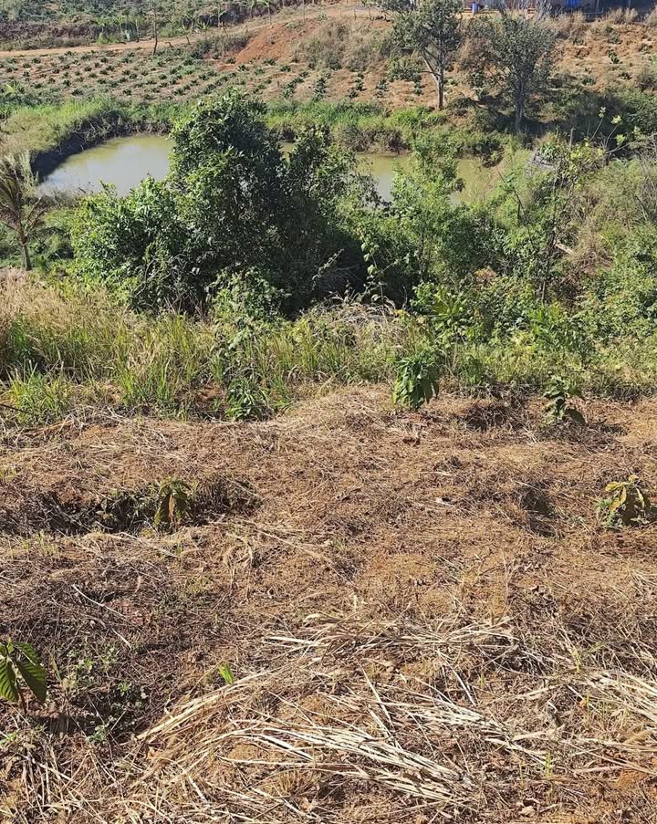 Bán đất vườn Gia Nghĩa 3.500m² giá 700 triệu - Sổ sẵn, có ao riêng!