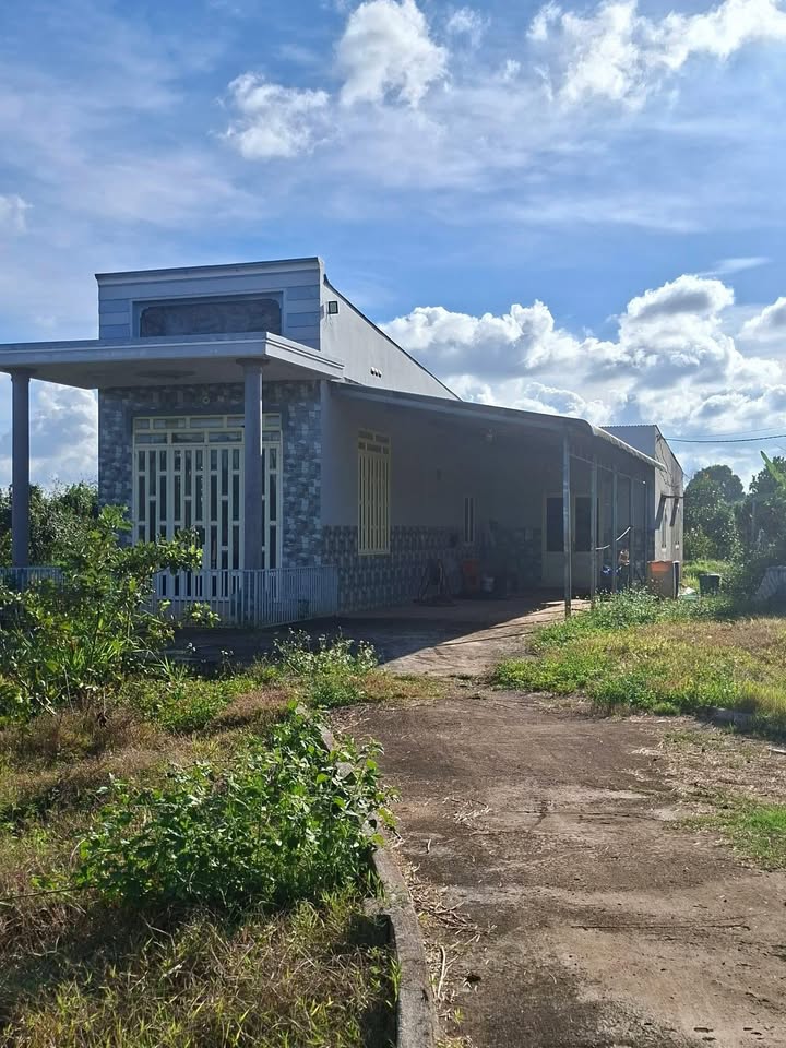 Đất Vườn 7500m² Đồng Nai - Sẵn Sàng Đầu Tư Sinh Lời