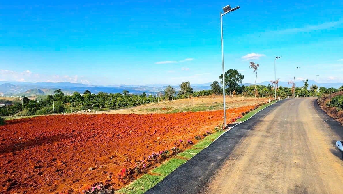 Đất nền Thị trấn Đinh Văn 10800m² - Tiềm năng tăng giá vượt trội!