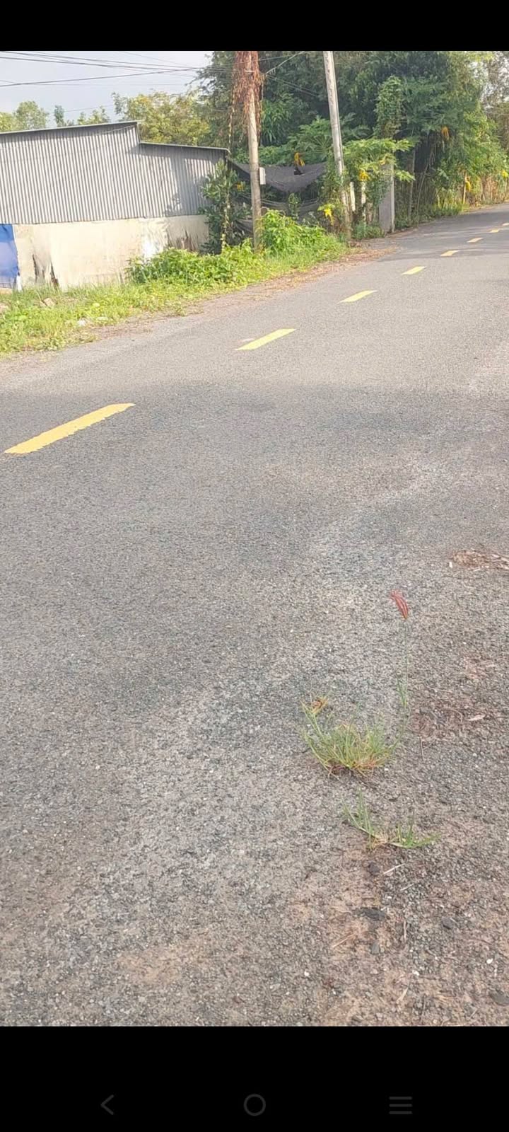 Đất nền Tỉnh lộ 853 Sa Đéc 215m² - Pháp lý rõ ràng, xây tự do!