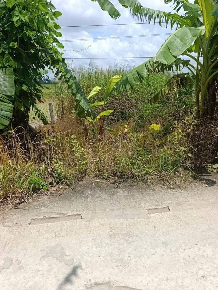 Bán Nền Mặt Tiền Võ Dũng, Bạc Liêu - 460m² Giá 390 Triệu