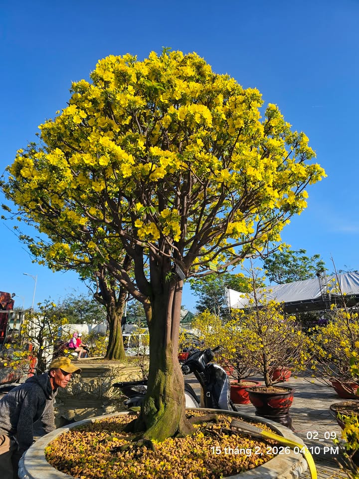 Đất nền Điện Phong Điện Bàn 135m² chỉ 400 triệu - Sổ đỏ chính chủ