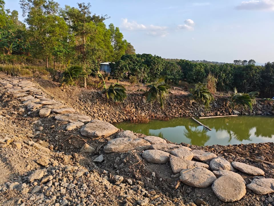 Bán Đất Farm 2ha Chư Sê, Gia Lai - Sổ Hồng, Giá Tốt Đầu Tư