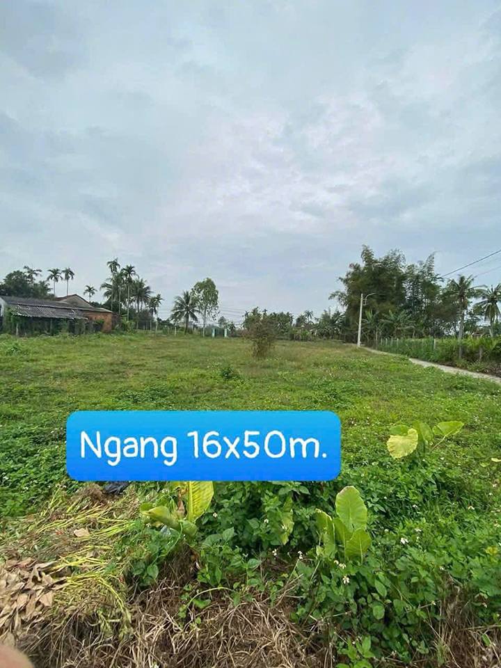 Đất vườn Nghĩa Hà, Tư Nghĩa 1500m² giá 1.2 tỷ - Nghỉ dưỡng lý tưởng!
