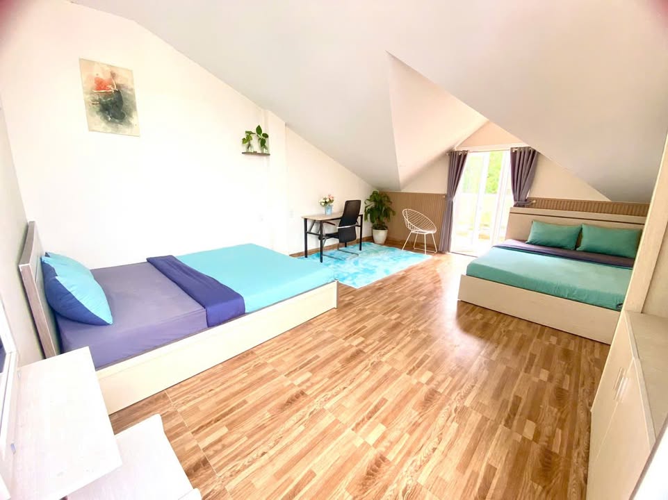 Cho thuê căn hộ Đà Lạt 1PN view rừng thông - Full nội thất