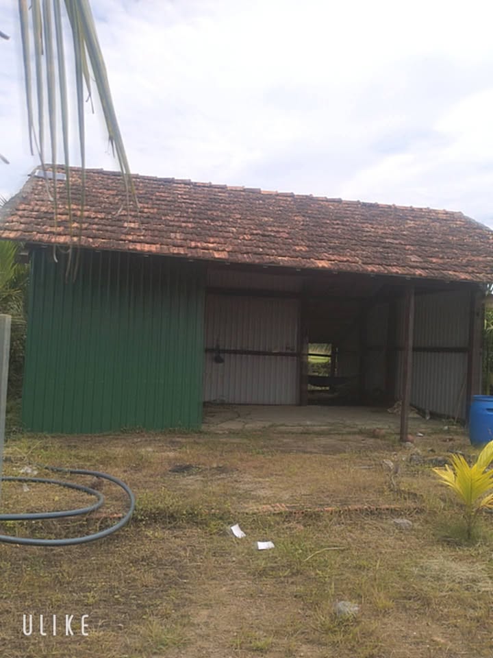 Bán Gấp Vườn Cây Ăn Trái 3.5 Sào Tại Đạ Lây, Lâm Đồng - Giá Tốt