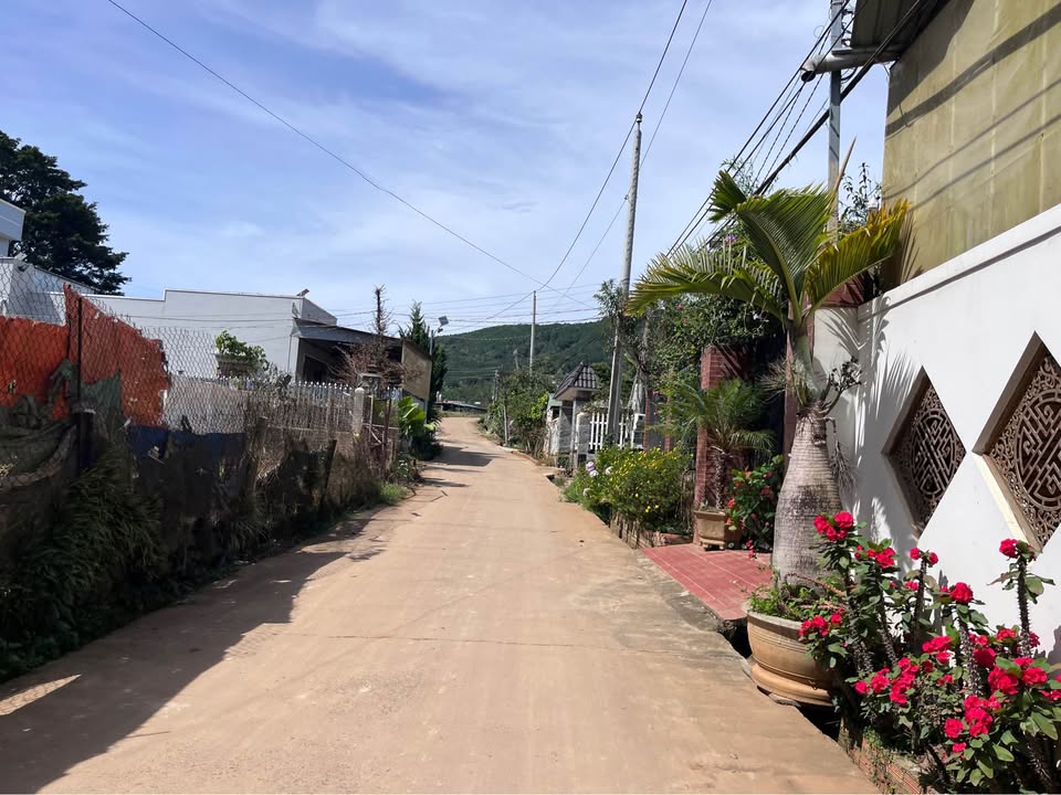 Đất nền Tân Hội Đức Trọng từ 132m² giá 450 triệu - Sổ đỏ chính chủ!