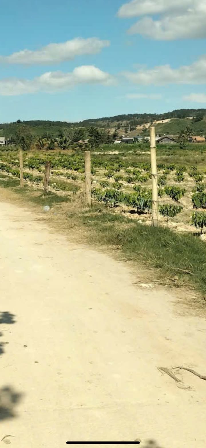 Bán Đất Lâm Hà 828m² Sổ Hồng - Lộc 680 Triệu