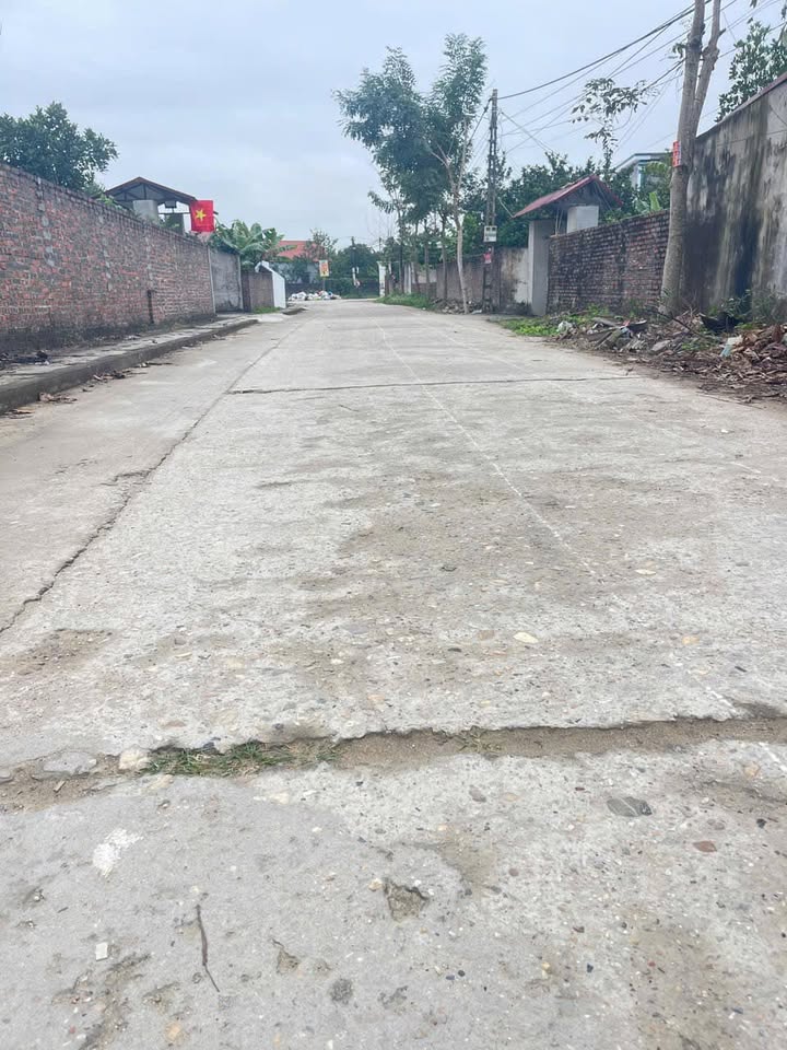 Đất nền Thôn Đại Đồng 1, Hiệp Hoà 179m² - Tiềm năng tăng giá!