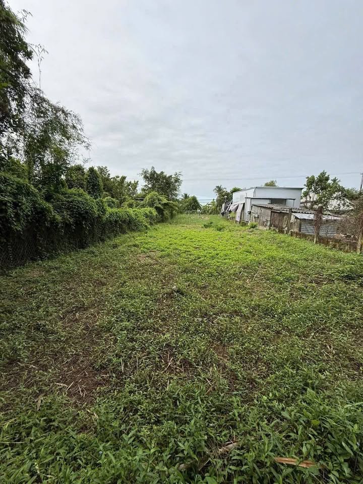 Đất Mặt Tiền DT 854 Châu Thành - 550m², Kinh Doanh Sầm Uất, View Sông Mát