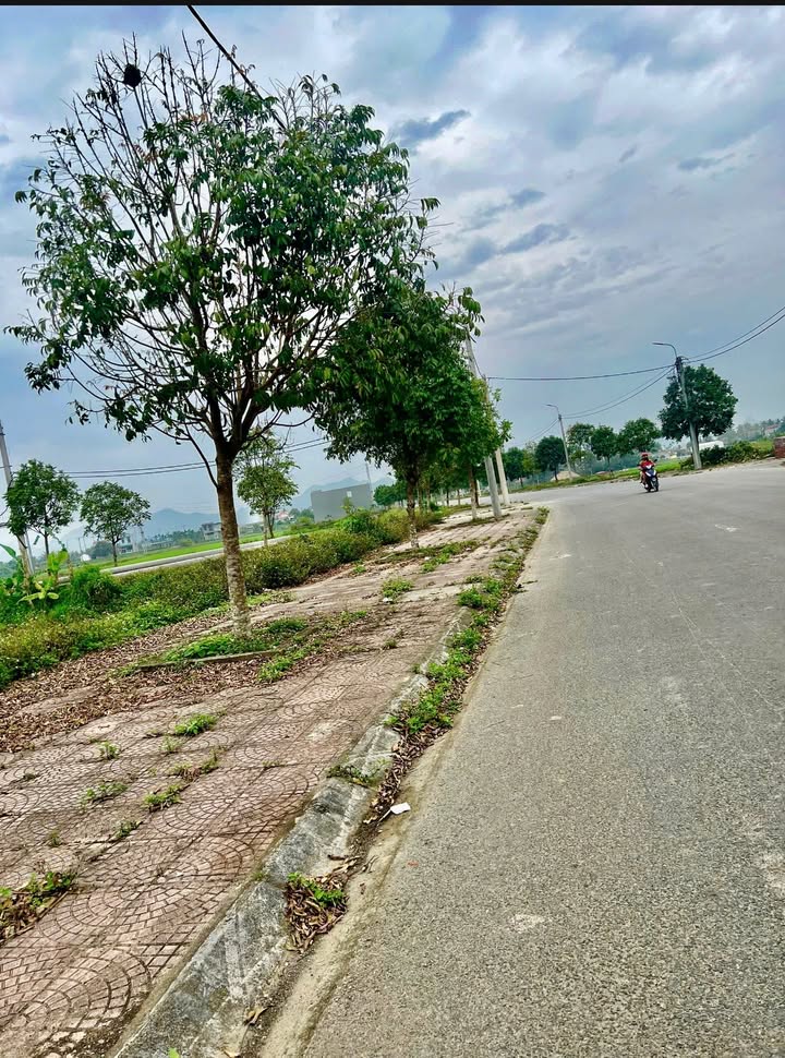 Đất Nền Nga Sơn 100m² - Sổ Đỏ Rõ Ràng, Giá Đầu Tư Tốt