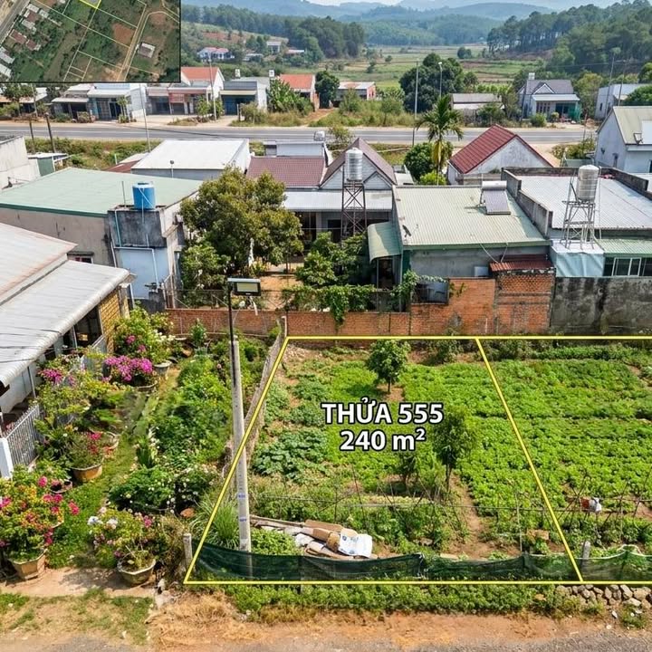 Đất nền Hòa Ninh Di Linh 240m² 1.38 tỷ - Sổ đỏ chính chủ