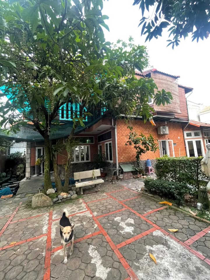 Biệt thự sân vườn Gò Vấp 144m² - Thích hợp KD Online, VP Cty!