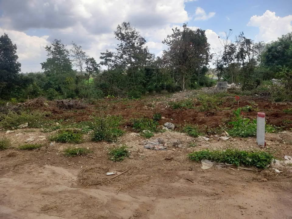 Đất Vườn 900m² Ea Kar, Đắk Lắk - Sổ Đỏ Riêng, Giá Đầu Tư Tốt