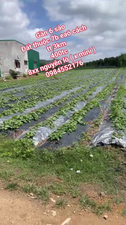 Đất nền Ea Kar 2160m² - Sổ đỏ chính chủ, thổ cư 400m²!