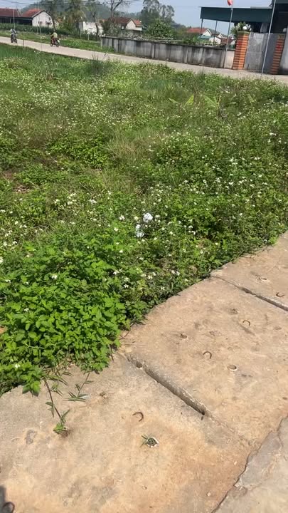 Bán đất Xóm 6 Quỳnh Lâm, Quỳnh Lưu - 160m², Sẵn sàng xây dựng