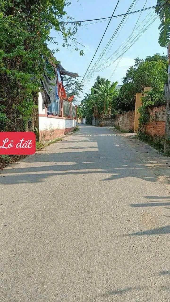 Đất Ngoại Trạch 1 Bình Xuyên 98.5m² – Tiềm năng tăng giá cao!