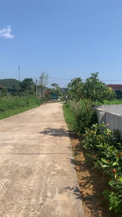 Bán Gấp Đất Vàng 800m² Thôn Thượng Kim, Hương Sơn - Giá Chỉ 5xx Triệu