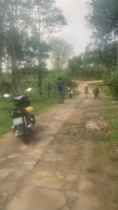 Đất nền Hương Khê 100m² chỉ 1.2 tỷ - Sổ đỏ chính chủ!