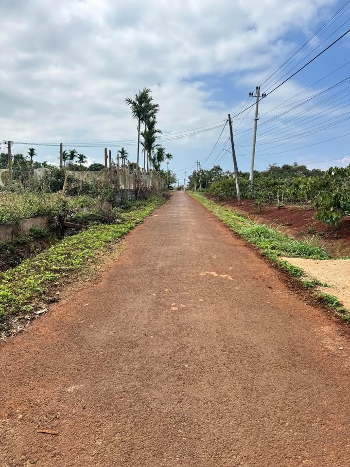 Đất Nền Phú Xuân 315m² - Sổ Đỏ Full Thổ Cư, Gần Chợ