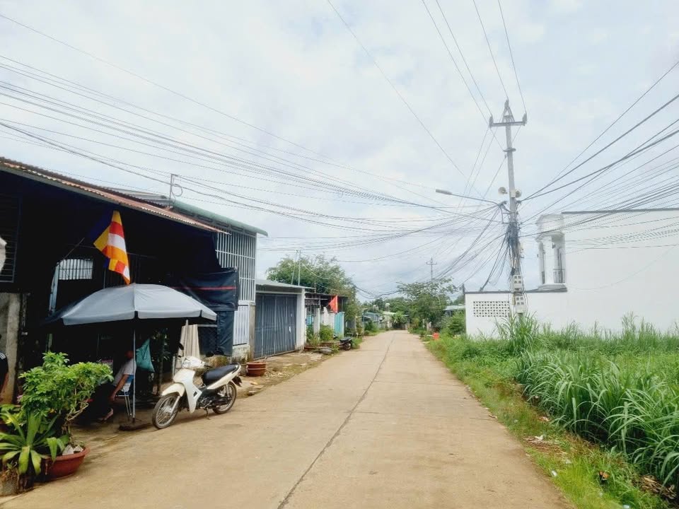 Bán 2 Lô Đất Mặt Tiền Đường Triệu Quang Phục, Buôn Ma Thuột - 117m²