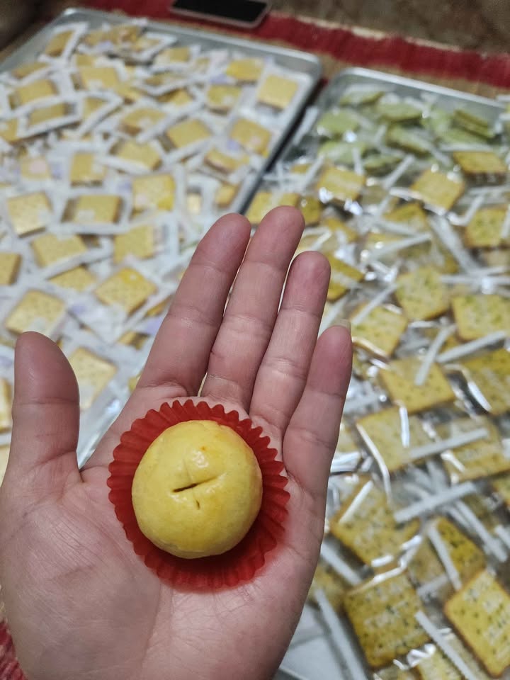 Mặt Bằng Kinh Doanh Đỗ Xuân Hợp, Đắk Lắk - 115m² Sẵn Sàng Hoạt Động