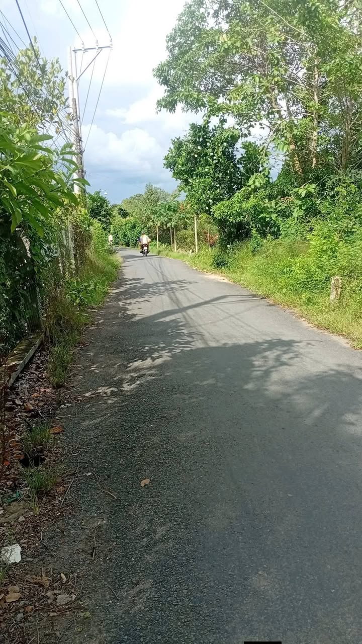 Bán Gấp Vườn Mít 500m² Xã Mỹ Lương, Cái Bè - Giá 700 Triệu