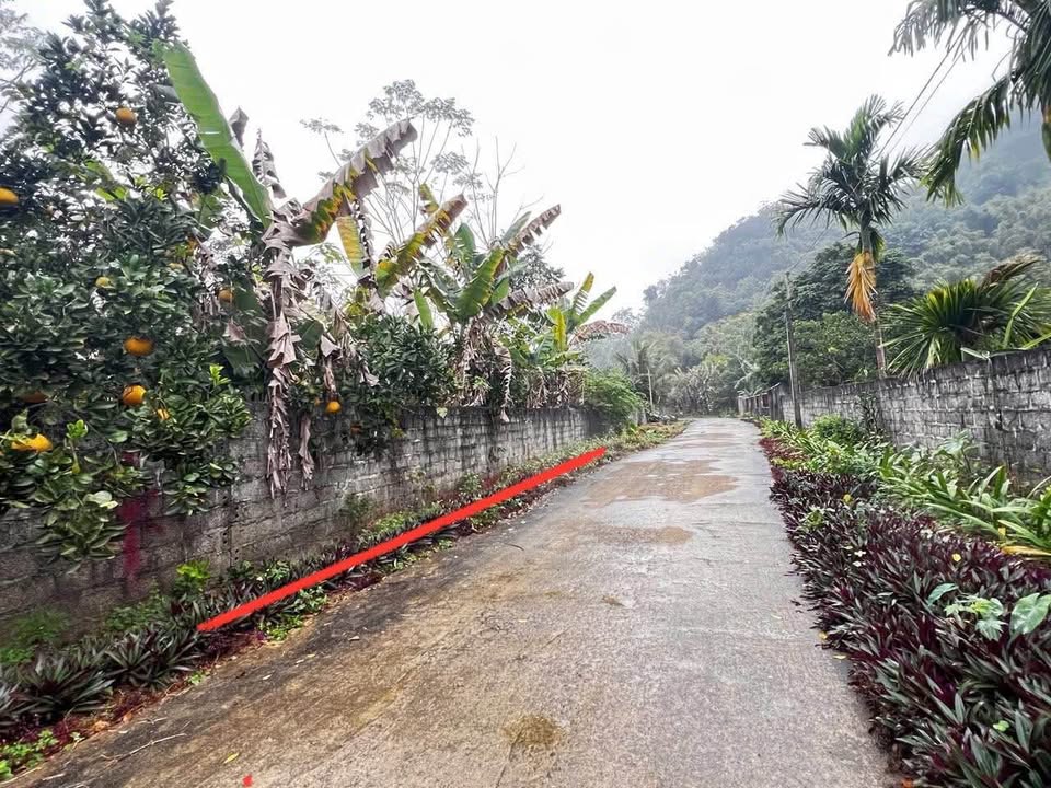 Đất nền Yên Trị, Hòa Bình 375m² - Sổ đỏ chính chủ, ô tô vào tận nơi!