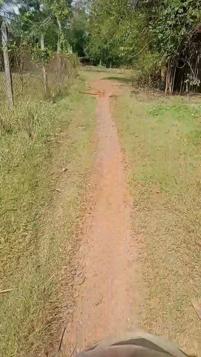 Đất Nền Đức Lập Hạ Long An - 258m² Sổ Hồng - Gần KCN, Kinh Doanh Tốt